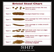 Bristol Stool Form Scale Download Scientific Diagram