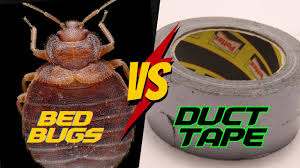how to use duct tape for bed bugs