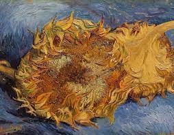 Aug 16, 2019 · however, infrared scans and chemical analysis indicate that both paintings are the work of van gogh. Van Gogh S Sunflowers Decoded In New Exhibition