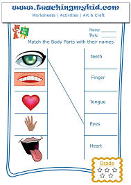We share the following free pdf worksheet. Match The Body Parts With Their Names Archives Teaching My Kid