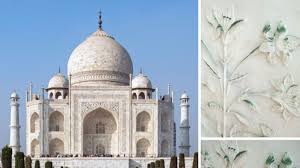 nah taj insect turns one of world