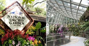 free entry to national orchid garden at