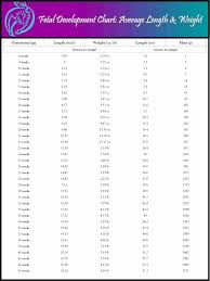 Fetal Weight Chart Jasonkellyphoto Co