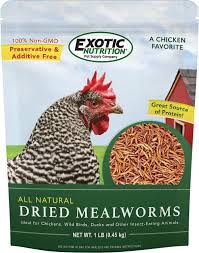 exotic nutrition dried mealworms 1 lb