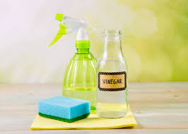 5 homemade carpet cleaners to deal with