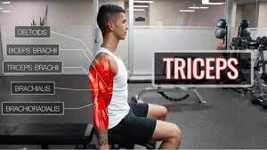 the best science based tricep workout