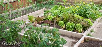Planting Systems For Vegetable Gardens