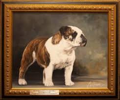 Available maltese puppy jonda's southern puppies. National Portrait Gallery The Bulldog Club Of America The Official Akc Bulldog Club