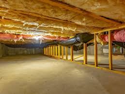 How To Prevent Crawl Space Mold Radon