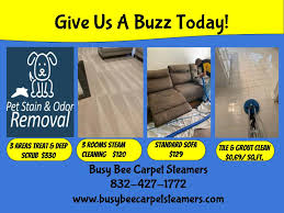 carpet cleaning houston houston carpet