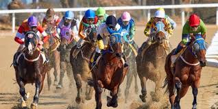 Image result for kentucky Derby