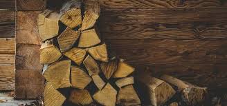 Holz, das in feuchten kellern gelagert wird, bietet schädlingen einen lebensraum. Brennholz Richtig Lagern Das Solltest Du Bei Der Trocknung Beachten Utopia De