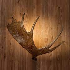 Rustic Moose Antler Wall Sconce