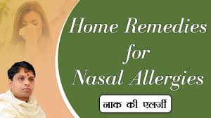 home remes for nasal allergies न क