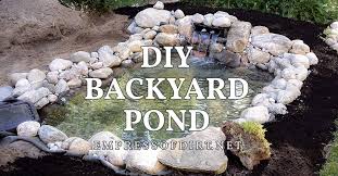 Build A New In Ground Backyard Pond