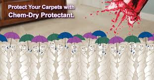 carpet stain protection