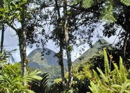 12 std 01 min 33 sek. Beste Reisezeit Fur Martinique Klima Wetter Wohin Reisen