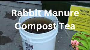 rabbit manure tea for your garden you