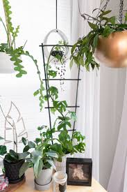 small trellis for a houseplant