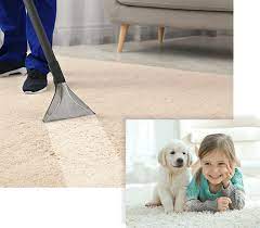 carpet cleaning branson mo steam