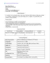 Simple resume format        png             