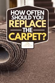 how often should you replace the carpet