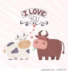 funny cartoon s cow and bull