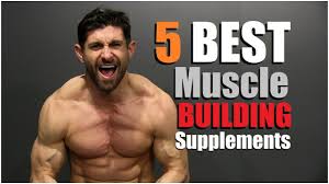 5 best supplements to add muscle m