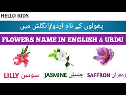 flowers name in english and urdu