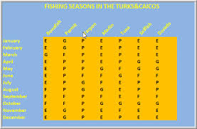Seasons For A Bonefishing Charter On The Flats Of The Turks
