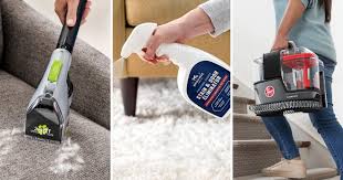 11 best pet stain removers to in 2024