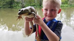 I am assuming that you are catching frogs for food. Frog Hunting Catch Clean Cook Frog Hunt Of A Lifetime Youtube