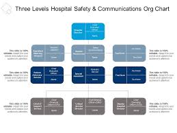 Three Levels Hospital Safety And Communications Org Chart