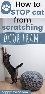 cat from scratching door frame