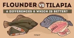 Is flounder or tilapia better?