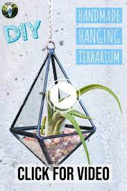Diy Stained Glass Terrarium Craft Gossip