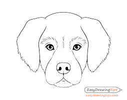 Lets draw a realistic dog. Dog Head Front View Drawing Step By Step Easydrawingtips