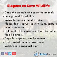 slogans on save wildlife unique and