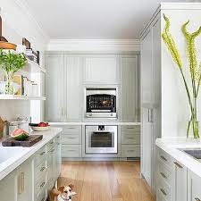 Gray Green Kitchen Cabinets Design Ideas