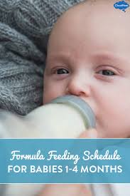 Formula Feeding Schedule For Babies 1 To 4 Months Old Cloudmom