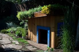 Green Roof Doghouse Rustic Garden