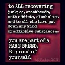 Alcohol is poison for mortals who were affected atrociously by its negative traits but the same thing turns out to be nectar for the ones who manufacture it because it. 50 Sobriety Quotes Ideas Sobriety Quotes Recovery Quotes Sobriety