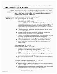 Home Health Nurse Resume Examples Examples How To Make A Good Resume
