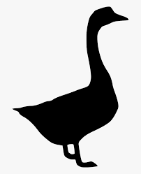 Donald duck baby ducks black and white , cartoon ducks png clipart. Transparent Duck Clipart Black And White Goose Png Icon Png Download Transparent Png Image Pngitem