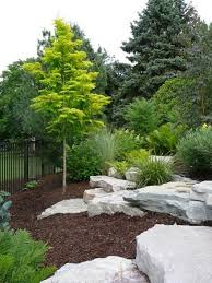 You might also like this photos. Easy Ideas For Landscaping With Rocks
