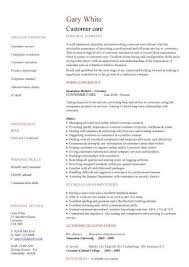 career vision for resume   thevictorianparlor co
