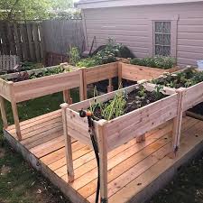 raised garden bed