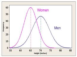 Average Height Difference Men And Women Google Search