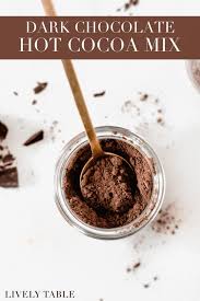 homemade dark chocolate hot cocoa mix
