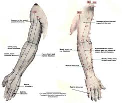 Photo Acupuncture Meridians At The Ankle Google Search